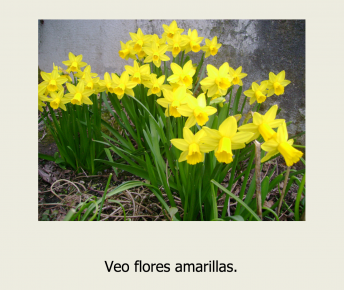 A Spanish ebook about spring with simple sentences for kids.