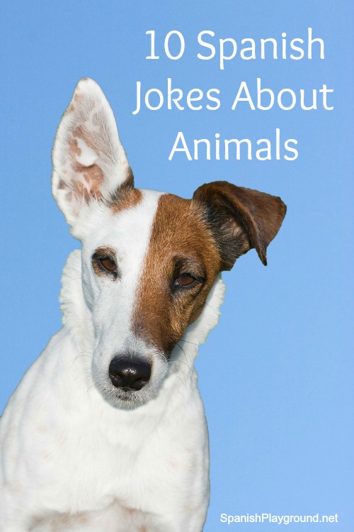 These Spanish jokes for kids feature animals and common vocabulary.