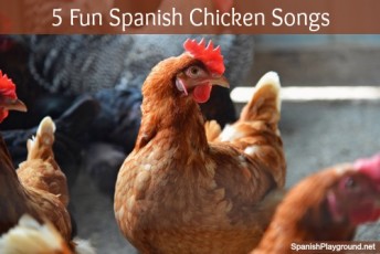 Spanish chicken song favorites to sing with kids learning language.