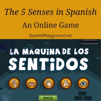 Los cinco sentidos for children learning Spanish.