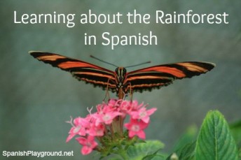 Rainforest activities for children learning Spanish teach language, culture and geography.