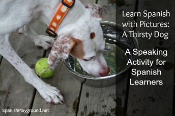 Speaking activity for children to learn Spanish using a photograph.