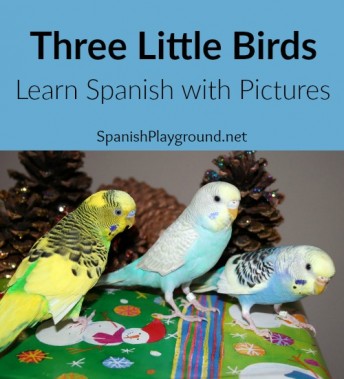 Kids learn Spanish with these questions about a picture of birds.