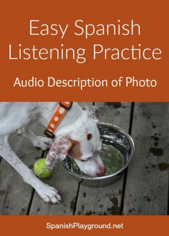 Easy Spanish listening practice with the audio description of the photo of a dog.