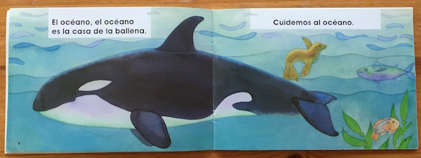 This picture book about caring for the earth is perfect for celebrating Spanish Earth Day units. 