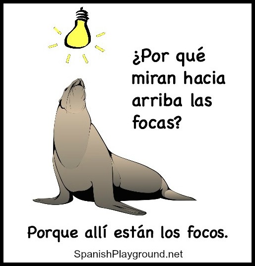 Image of a seal looking up at a light bulb with the text of the Spanish joke ¿Por qué miran haica arriba las focas? Por qué allí están los focos. 