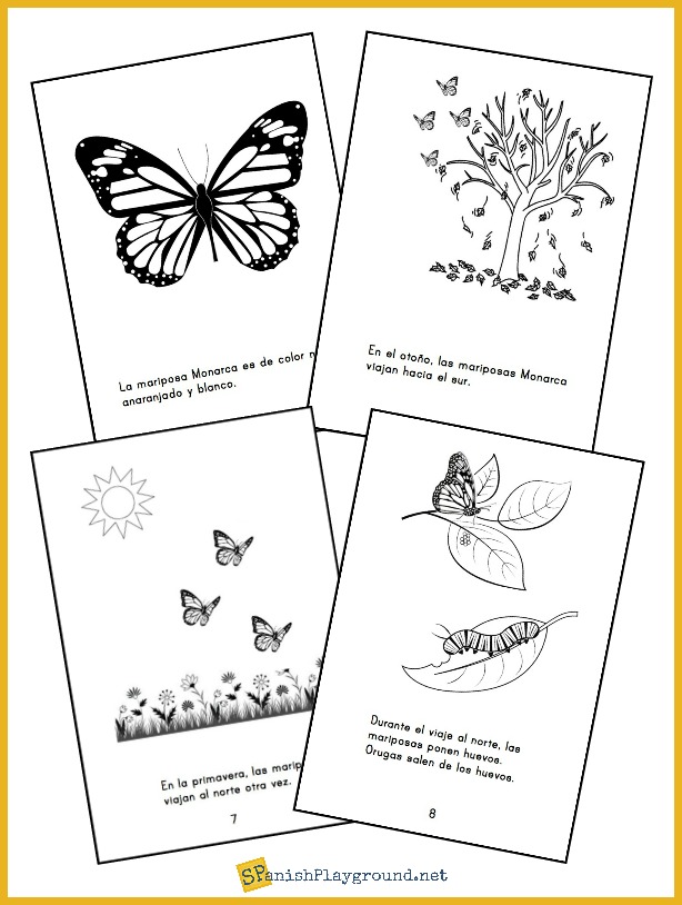 Mini-books like this one in Spanish and English are good Monarch butterfly activities for kids. 