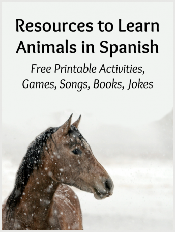 Image lists types of resources availble to learn animals in Spanish such as printable activities, songs, books, games and poems.